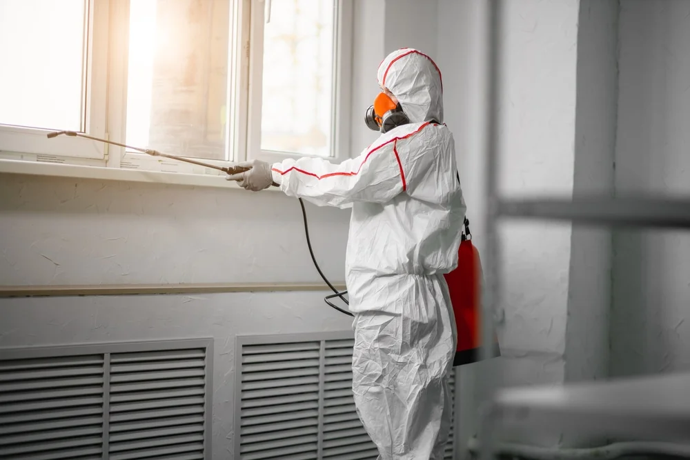 Professional mold remediation services in Bay Port, MI